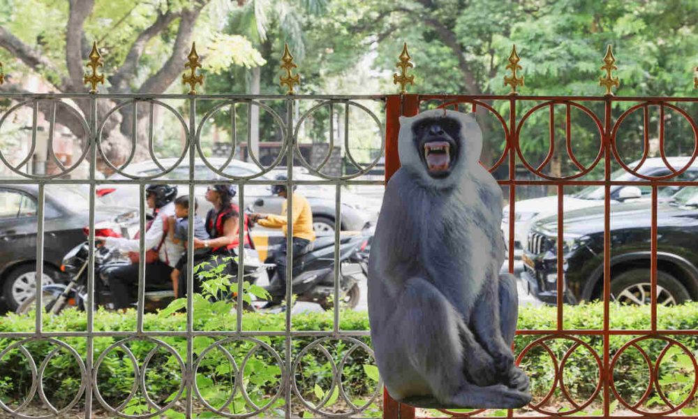 G20 Summit: Cutouts of langoors put up in Delhi to combat monkey menace