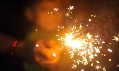 Delhi government bans sale, bursting of crackers on Diwali