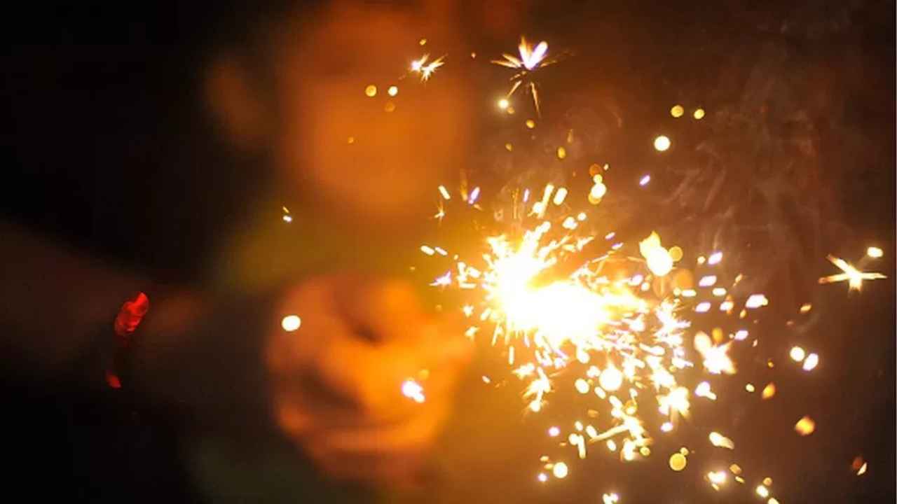 Delhi government bans sale, bursting of crackers on Diwali