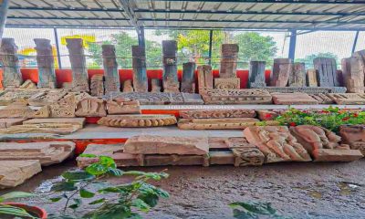 Watch: Remains of ancient temple, idols, pillars discovered at Ram Janmabhoomi during excavation