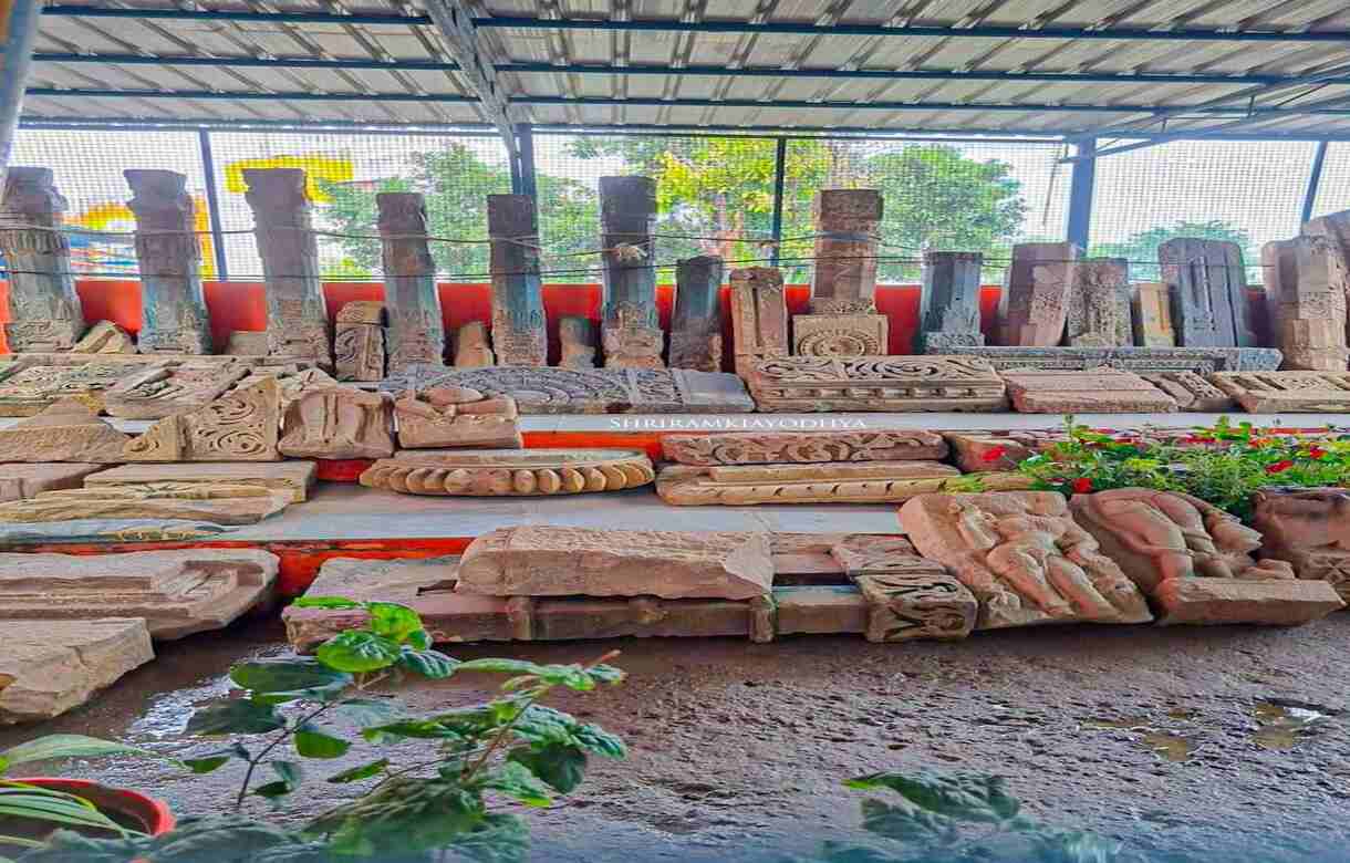 Watch: Remains of ancient temple, idols, pillars discovered at Ram Janmabhoomi during excavation