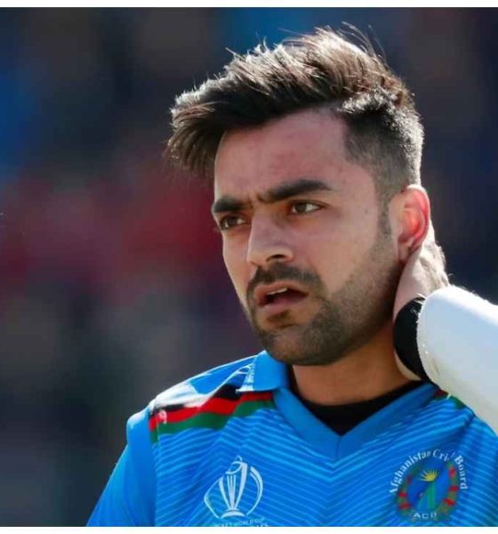 Afghani fan responds to Pakistani journalist about Rashid Khan getting better treatment in India, tweet goes viral