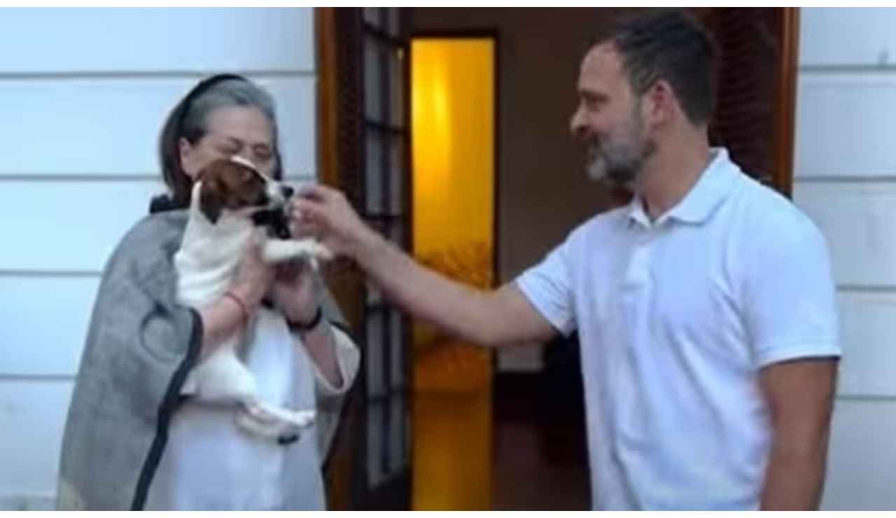 Watch: Rahul Gandhi brings a little surprise for mother Sonia Gandhi