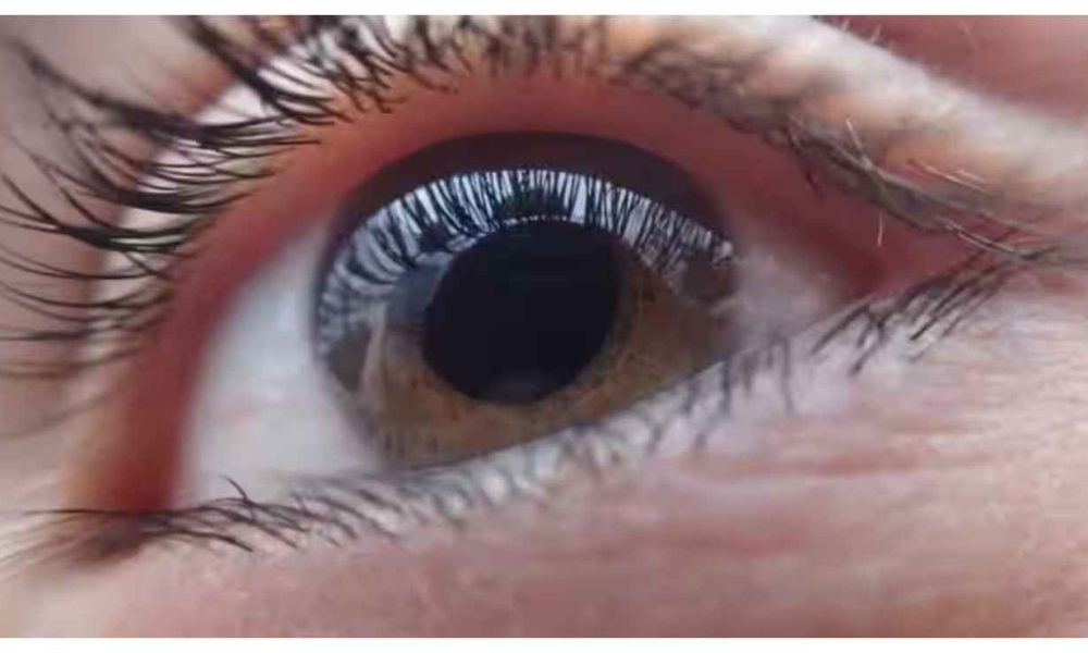 World Sight Day 2023: 10 ways to maintain good eye sight