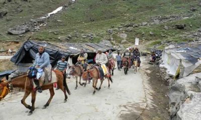 Uttarkashi authorities limits movement of horses and mules on Yamunotri Dham pilgrimage route