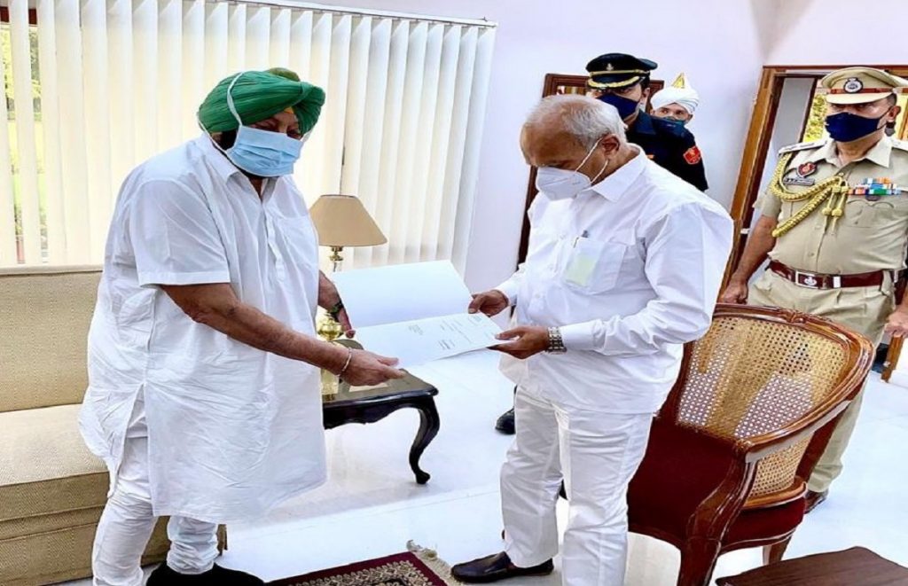 Punjab Congress All Out: Batsman ने Captain को किया बोल्ड, Amarinder Singh ने दिया इस्तीफा 1 amrinder