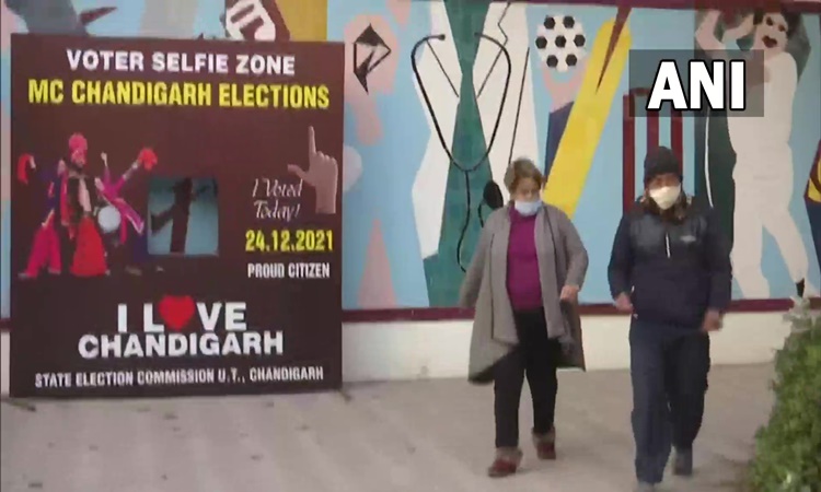 Chandigarh Municipal Corporation Election