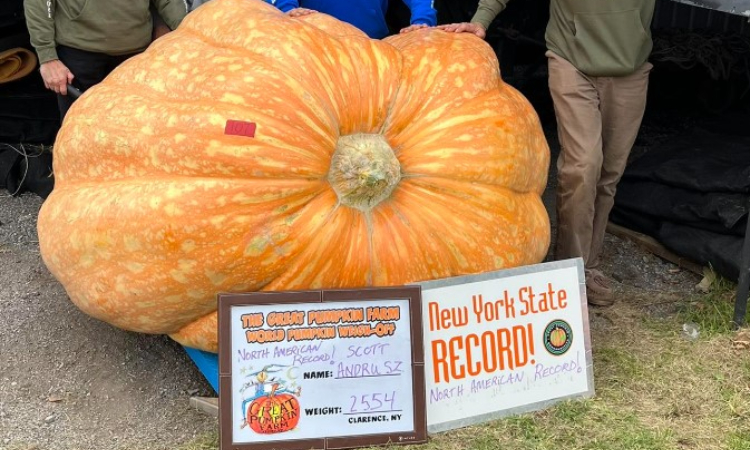 Biggest Pumpkin