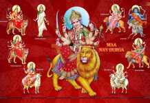 meaning of the names of nine goddesses of nine durga